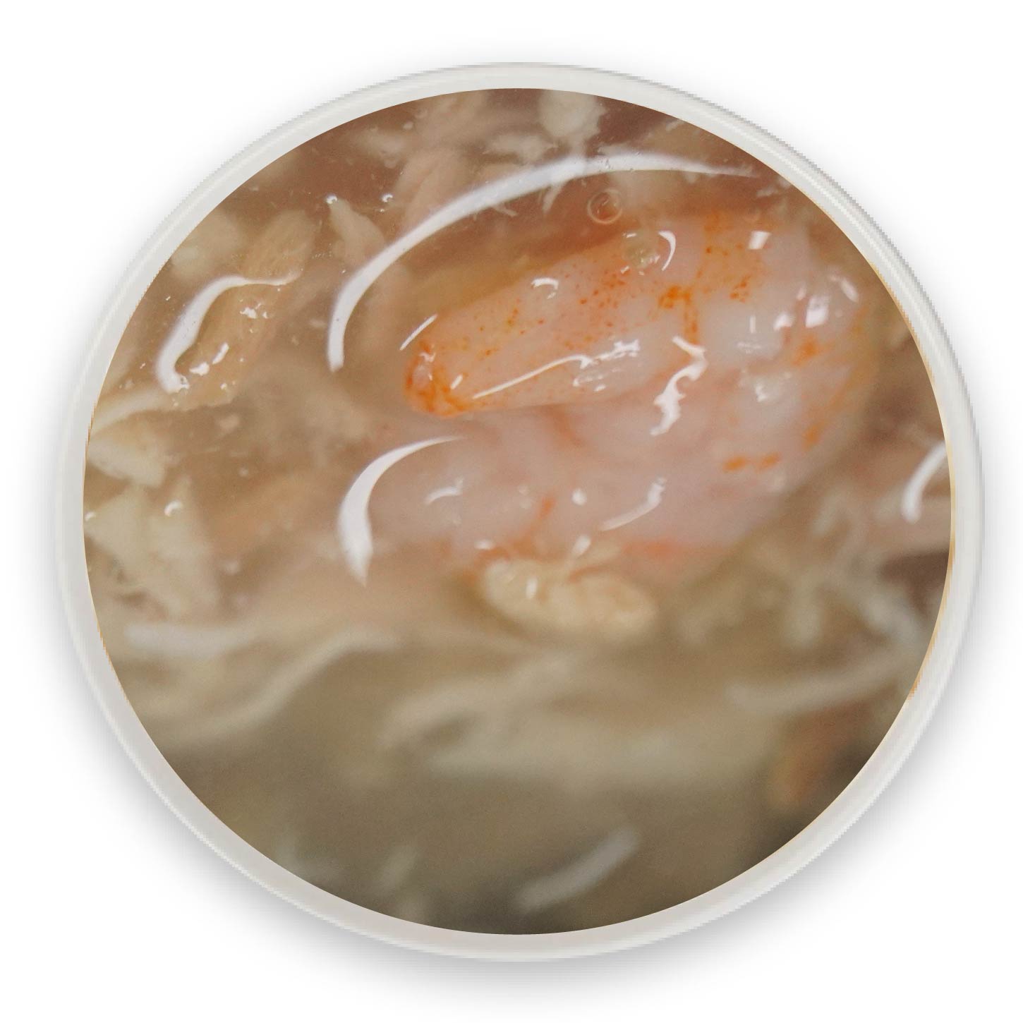 雞絲蝦仁湯罐